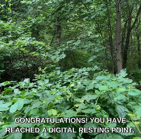 Congratulations you have reached a digital resting point